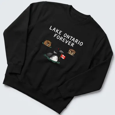 Cartoon-style Lake Ontario design featuring a loon, beaver, and otter. — printed on a unisex sweatshirt