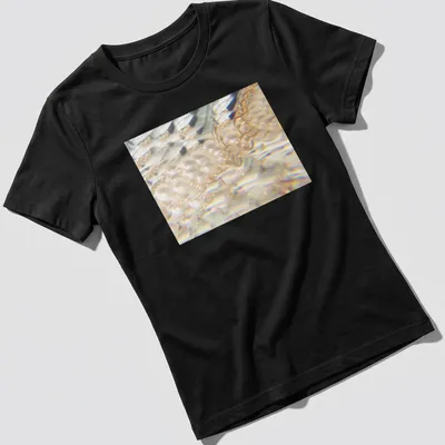 Iridescent jellyfish illustration in a prism effect with white, gold, and blue hues — printed on a women's shirt