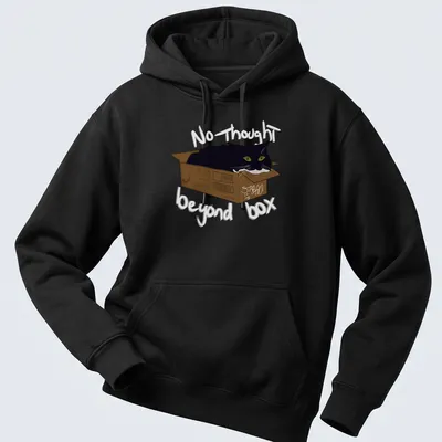 Whimsical illustration of a black cat in a cardboard box with playful text — printed on a unisex hoodie