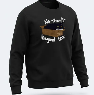 Whimsical illustration of a black cat in a cardboard box with playful text — printed on a unisex sweatshirt