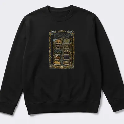 Vintage illustration of Pacific Coast marine life with detailed species names — printed on a unisex sweatshirt