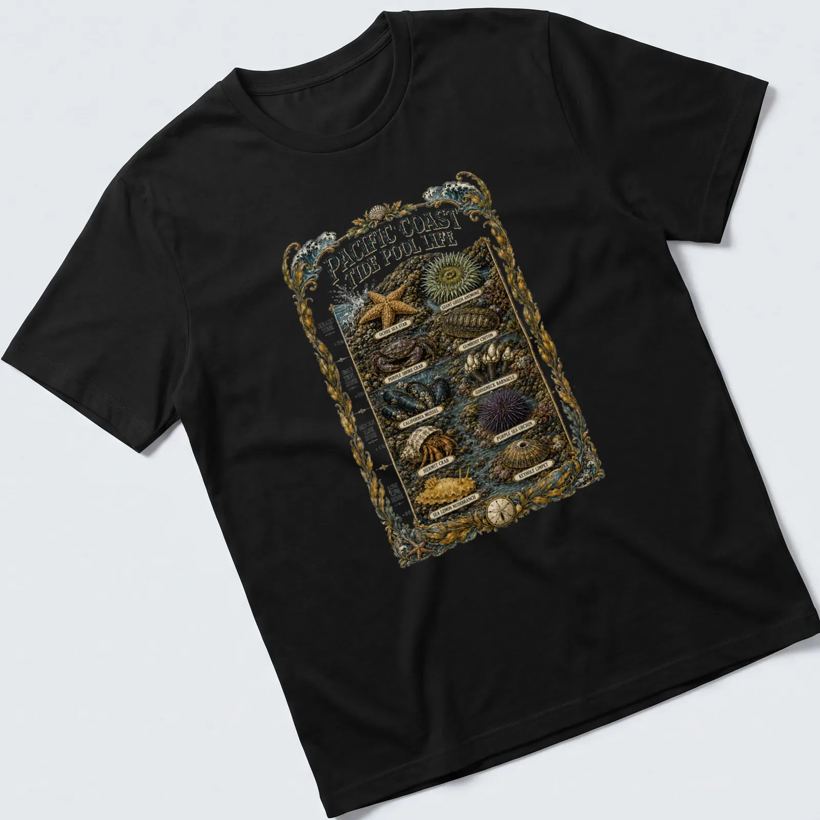 Vintage illustration of Pacific Coast marine life with detailed species names — printed on a unisex t-shirt