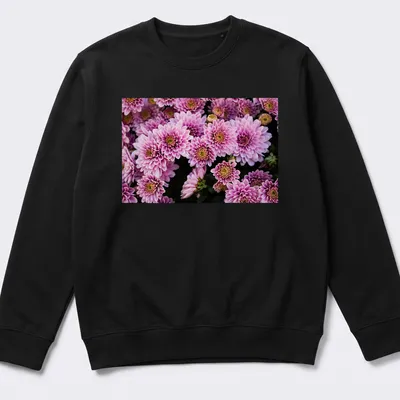 Photographic design of pink chrysanthemum flowers in vibrant colors — printed on a unisex sweatshirt