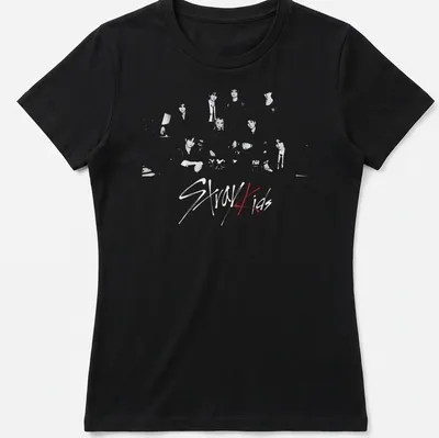 Retro vintage Stray Kids t-shirt featuring group characters in black, white, and red. — printed on a women's shirt