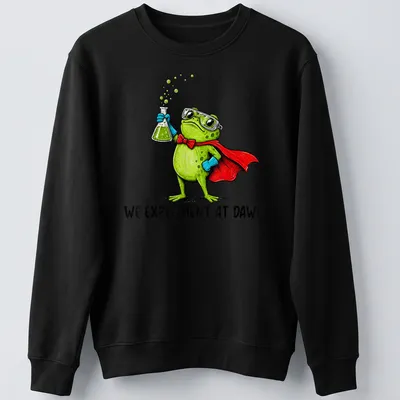 Colorful cartoon frog in a lab coat with text about experiments. — printed on a unisex sweatshirt