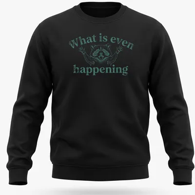 Vintage distressed t-shirt featuring a confused raccoon with humorous text above. — printed on a unisex sweatshirt