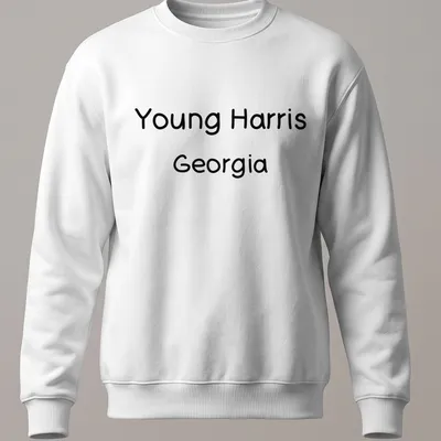 Handwritten Young Harris Georgia T-shirt with playful design — printed on a unisex sweatshirt